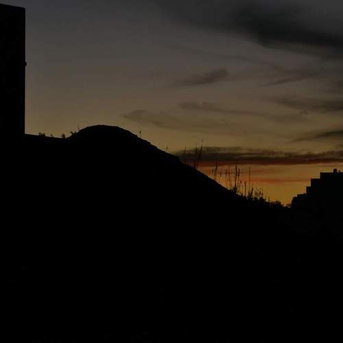 Photo #8378321