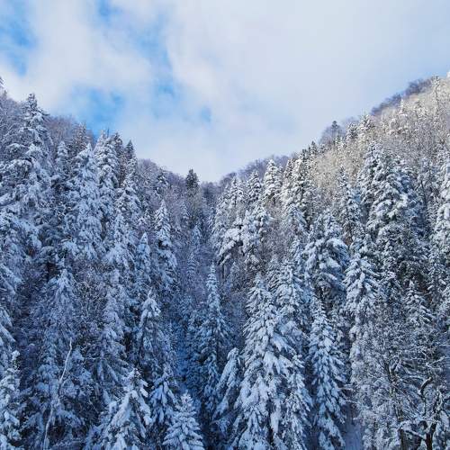 Photo #8378673