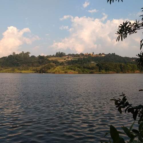 Photo #8378828