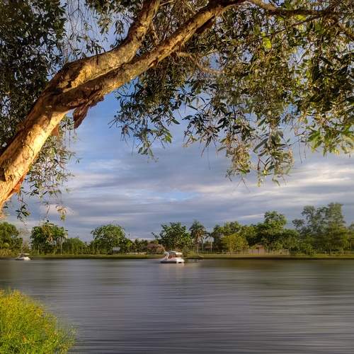 Photo #8378934