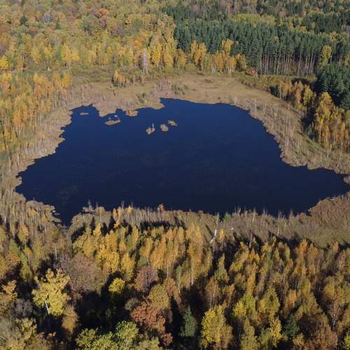 Photo #8379104