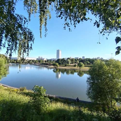 Photo #8379128