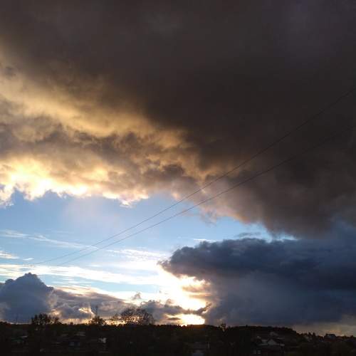 Photo #8379175