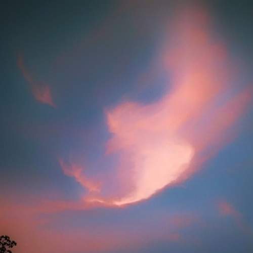 Angel Sky
