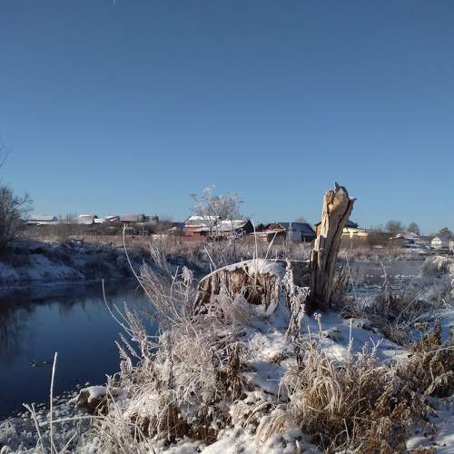 Photo #8379260