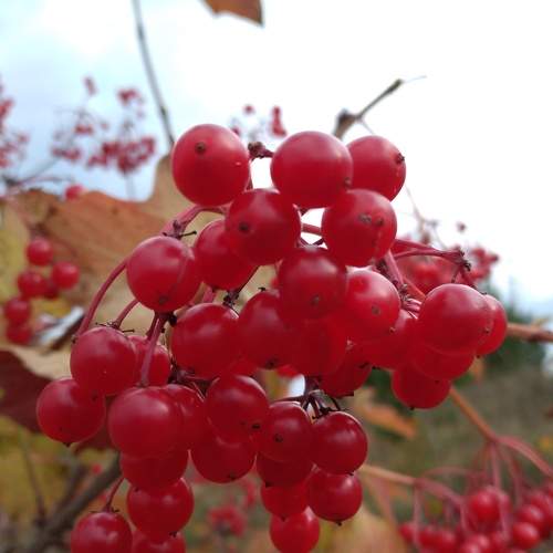 Photo #8379332