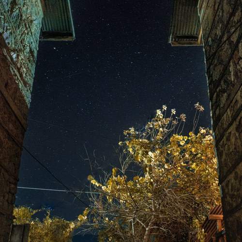 Photo #8379369