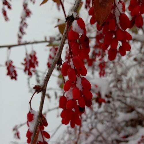 Photo #8379728