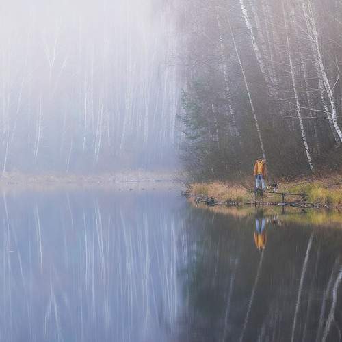 Photo #8379923