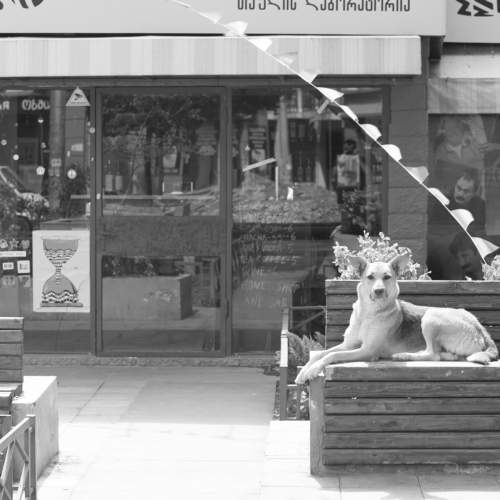 Photo #8379936