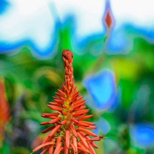 Xp-photography nature #travel