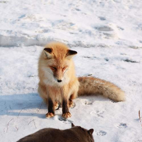 Photo #8380083