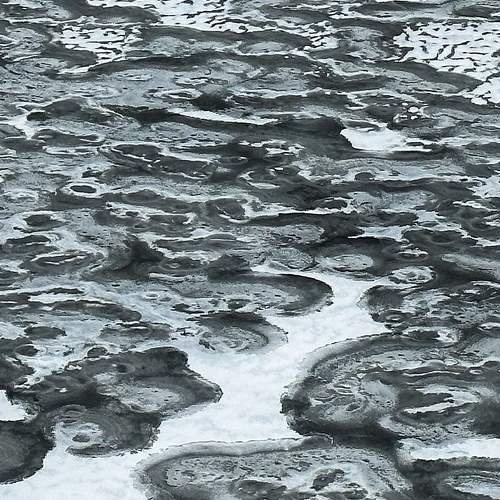 Photo #8380116