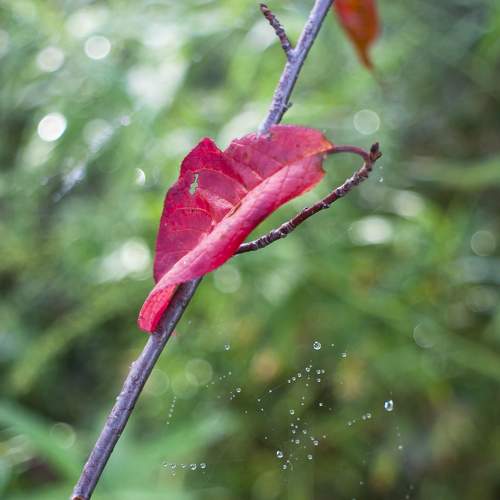 Photo #8380292