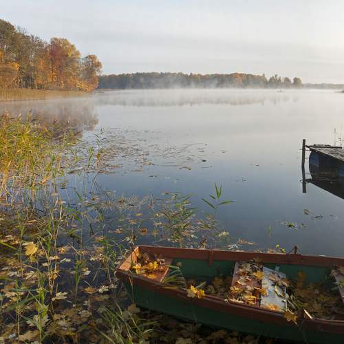 Photo #8380442