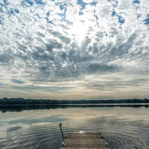 Photo #8380449
