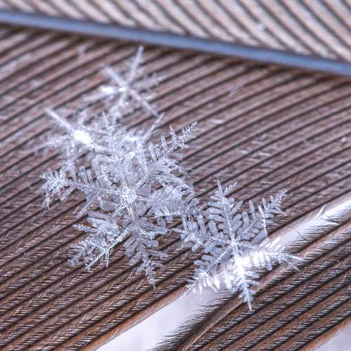 Photo #8380462
