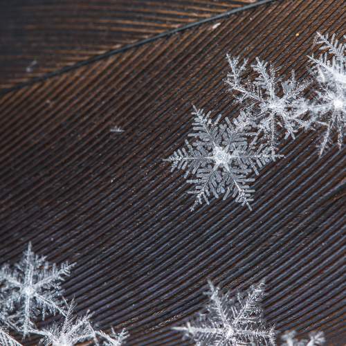 Photo #8380466