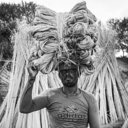 A farmer
