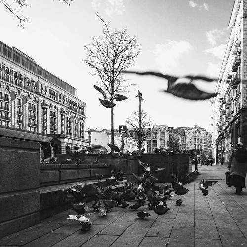 Photo #8380885