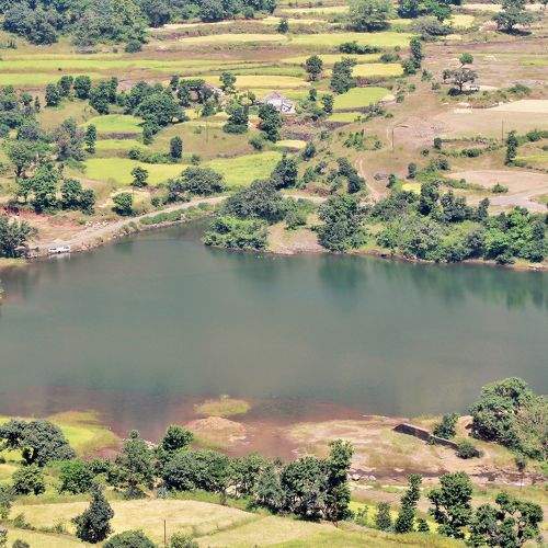 Photo #8381436