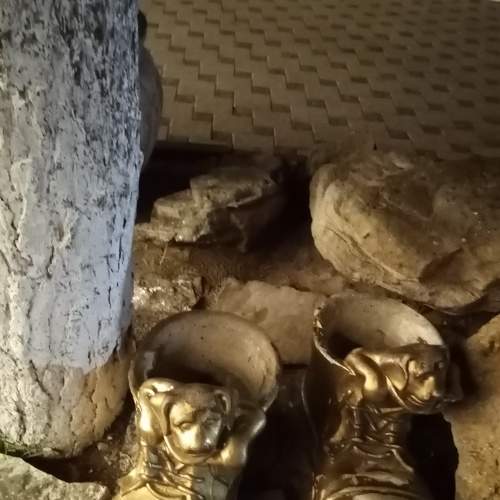 Photo #8381520