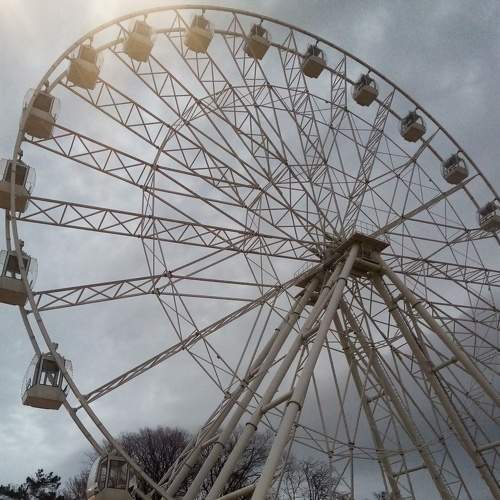 Photo #8381542