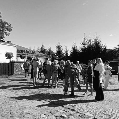 Photo #8381616