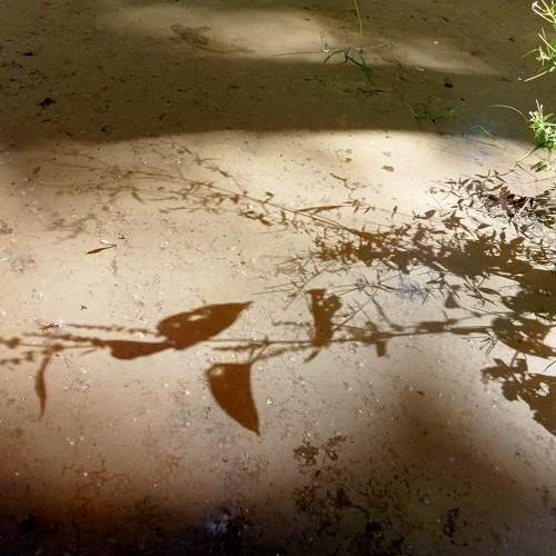 Photo #8381708