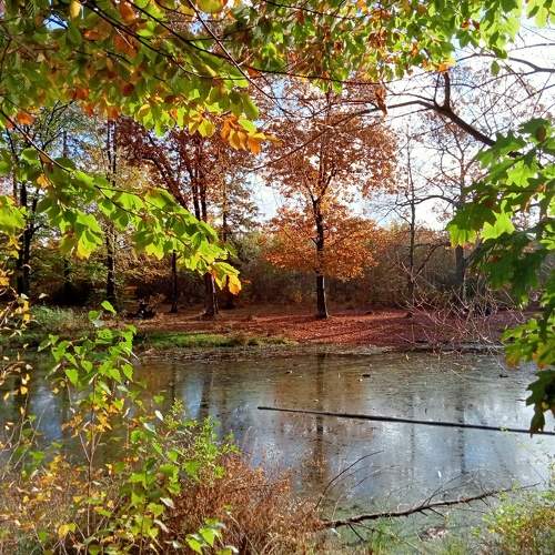 Photo #8381790