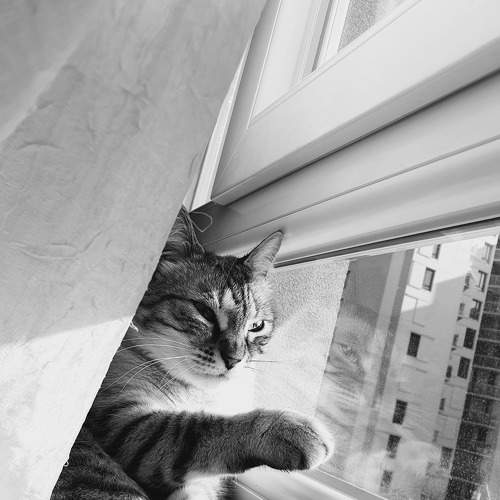 Photo #8381993