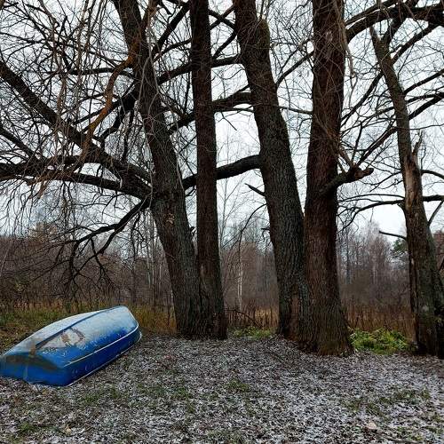 Photo #8382323