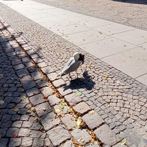 Photo #8382326