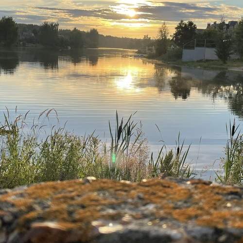 Photo #8382382