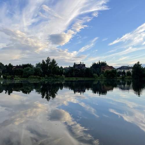 Photo #8382387