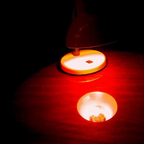 Photo #8382635