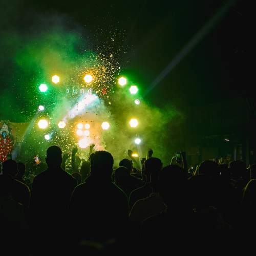 Photo #8382842