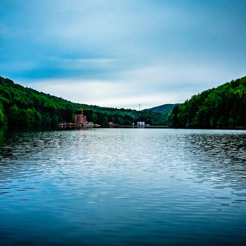 Photo #8382937