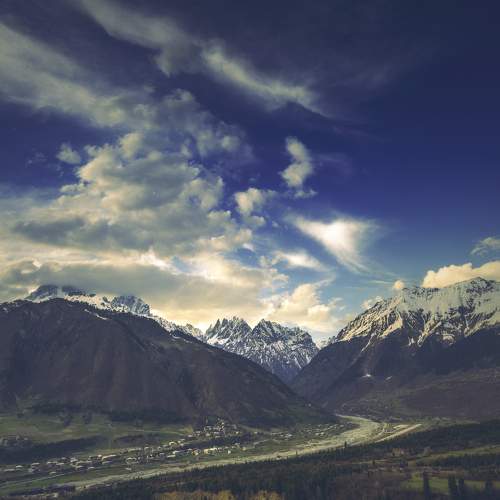 Photo #8382969