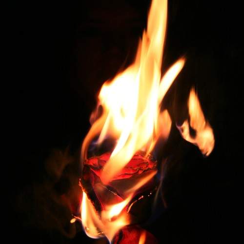 Photo #8383231