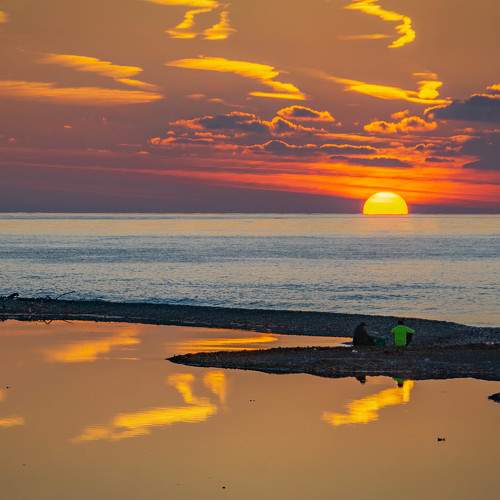 Photo #8383358