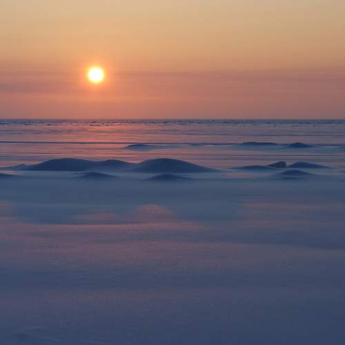 Photo #8383592