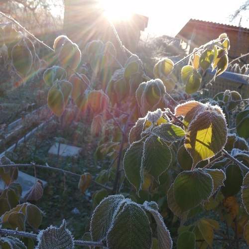 Photo #8383599