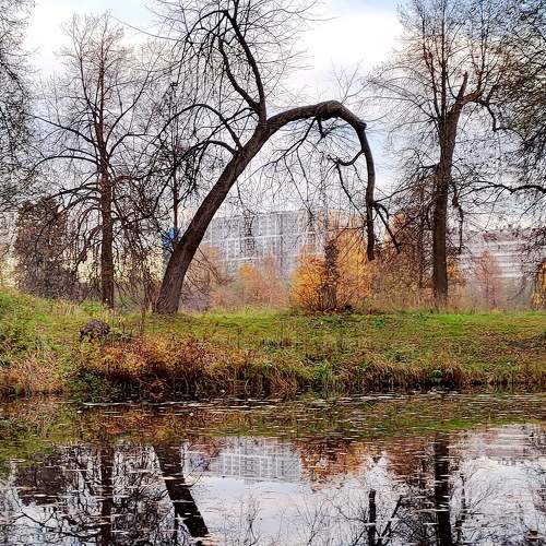 Photo #8383704