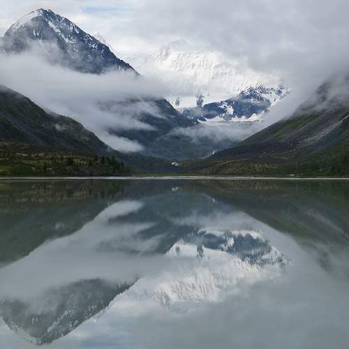 Photo #8383714