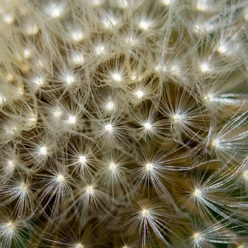 Photo #8383785