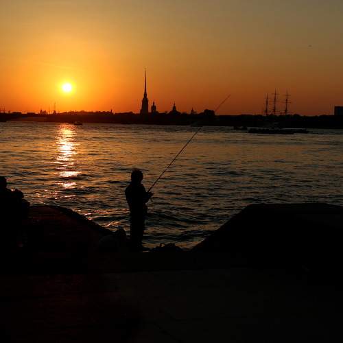 Photo #8383905