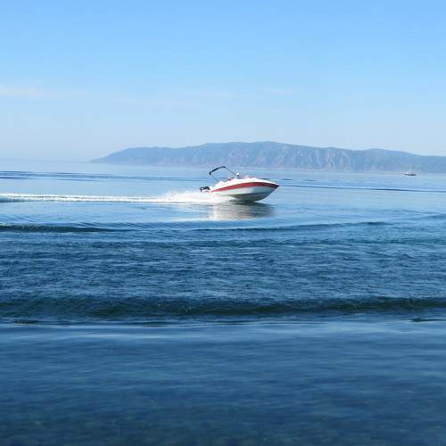 Photo #8384415