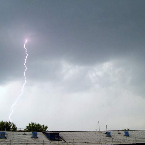 Photo #8384450