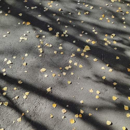 Photo #8384570